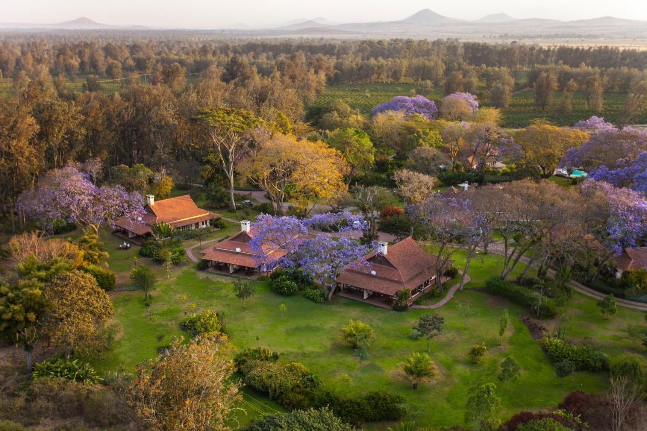 Legendary Lodge Arusha Exterior photo