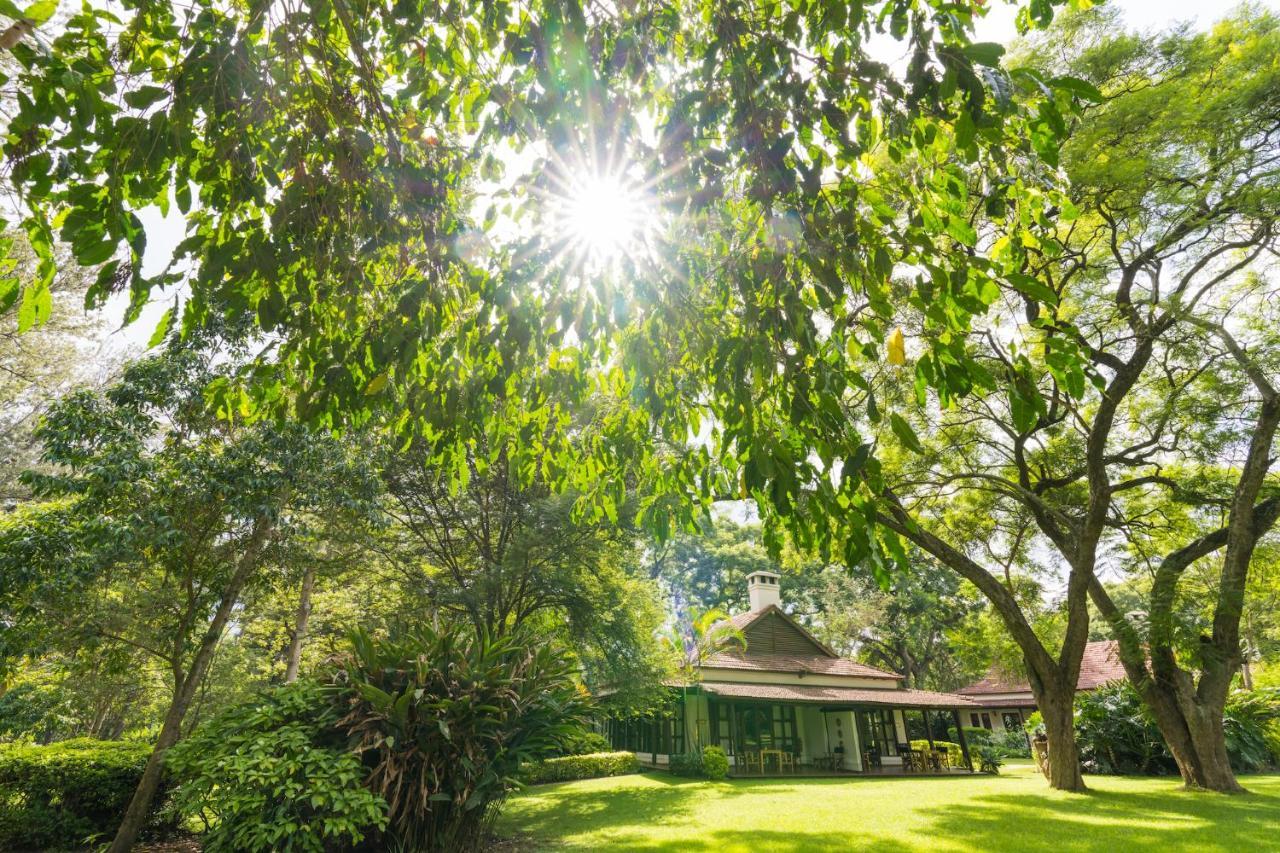 Legendary Lodge Arusha Exterior photo